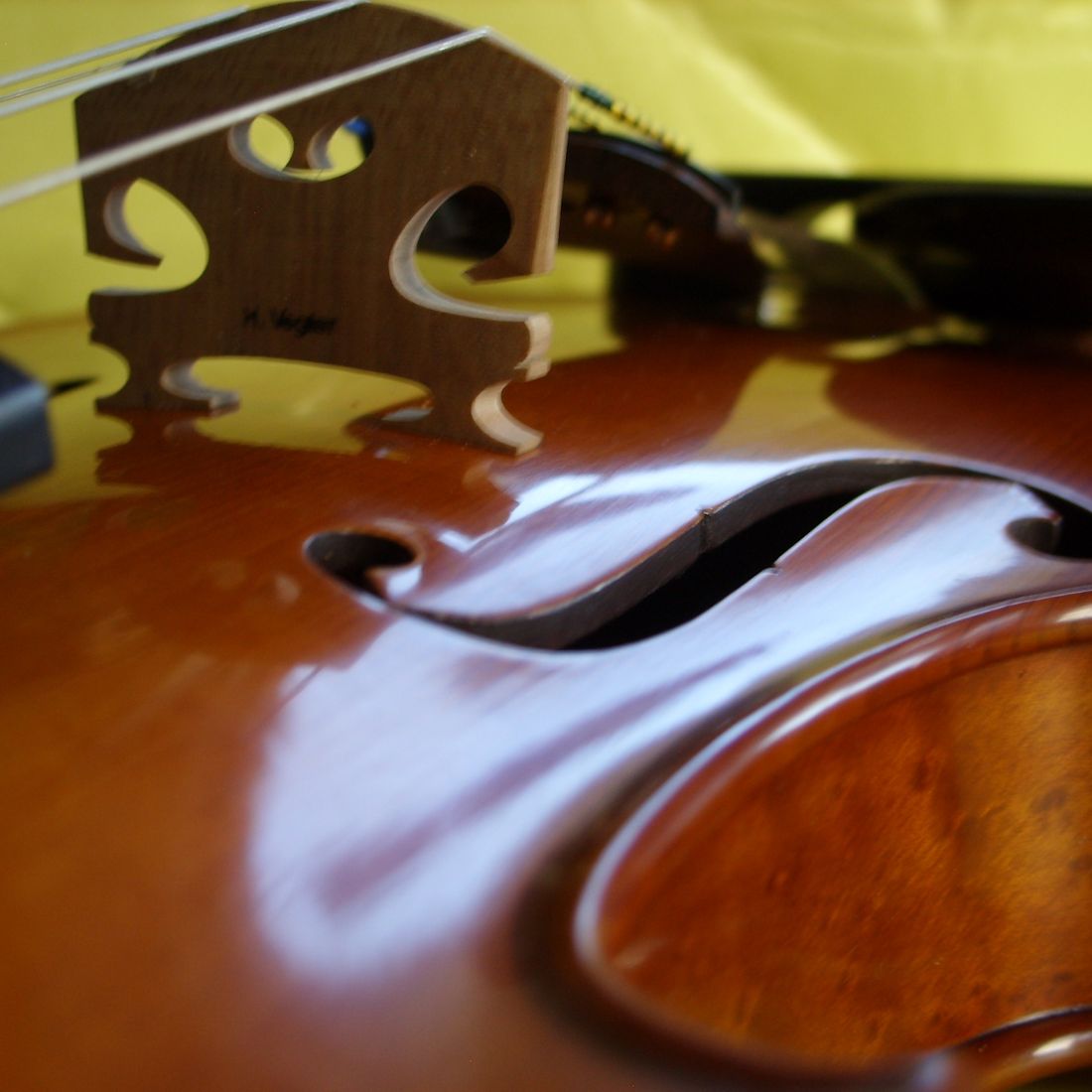 Vegter Violins