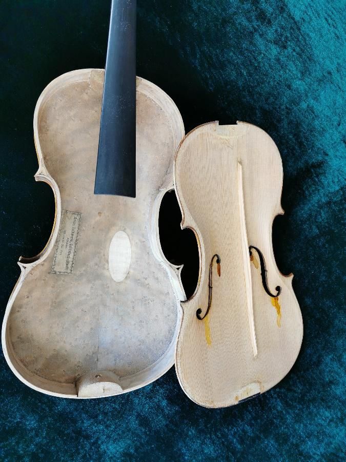 Vegter Violins