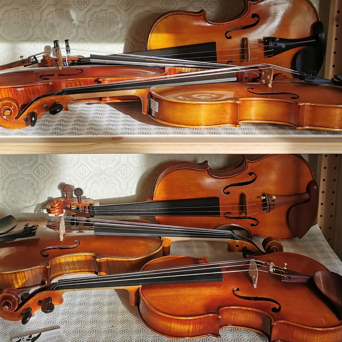 Vegter Violins